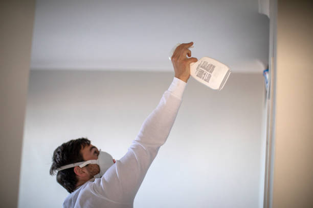 Best Mold Removal Near Me  in Fargo, ND