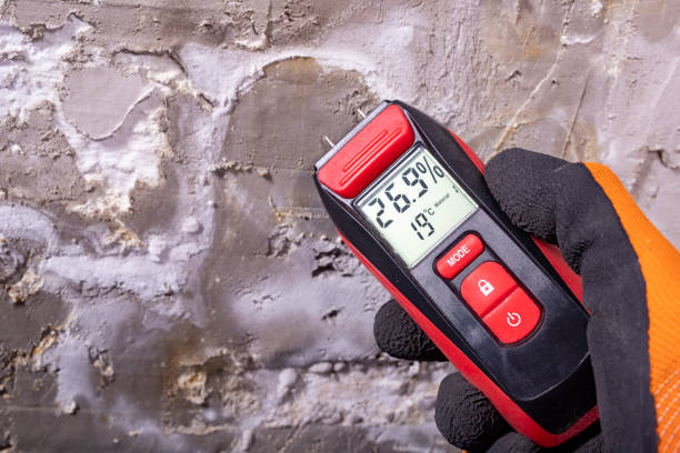 Best Residential Mold Removal  in Fargo, ND